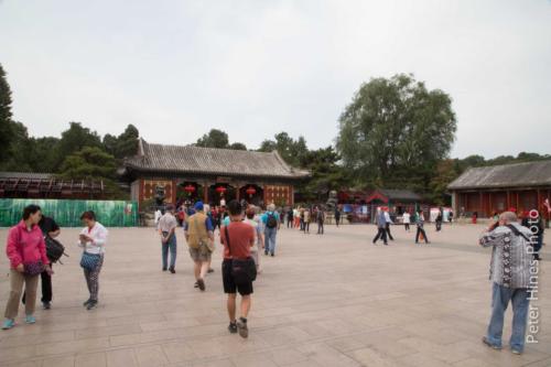 IMG 7973