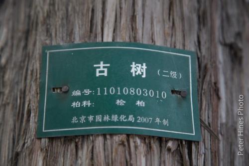 IMG 7991