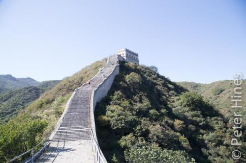 IMG 8158