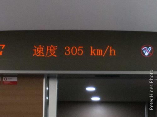 IMG 9990