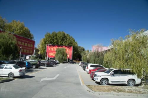 08-IMG 0099
