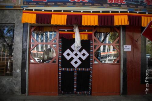 12-IMG 0129