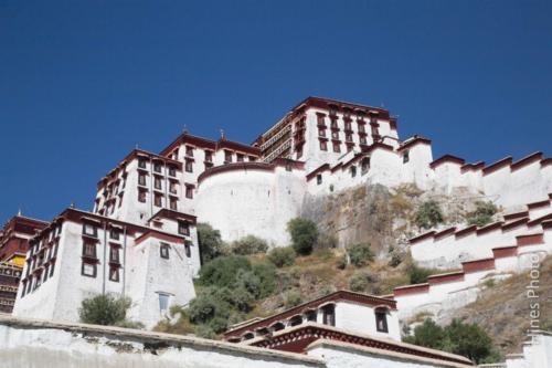 23-IMG 0646