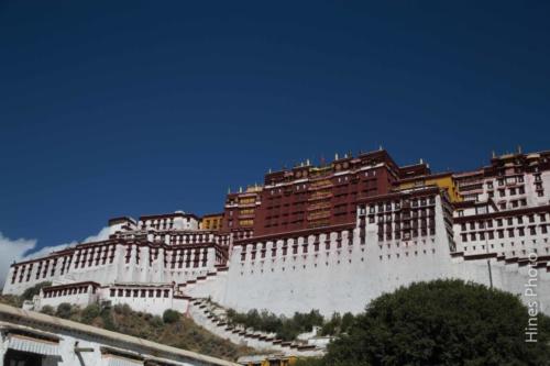 29-IMG 0665
