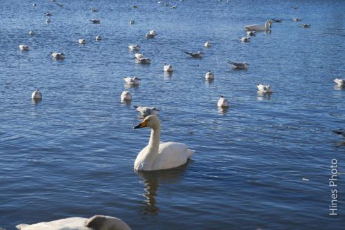 IcelandDay01-8