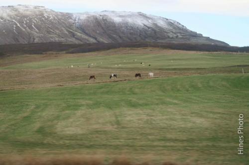 IcelandDay02-104