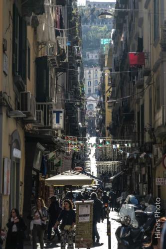 IMG 7092
