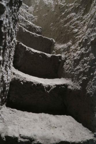 IMG 7854