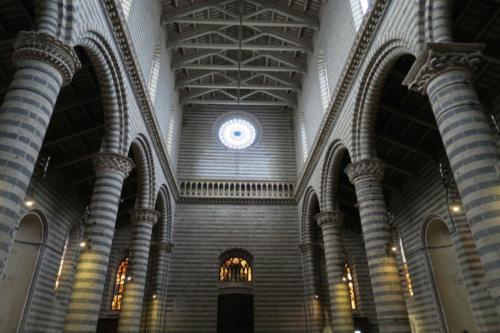 IMG 7859