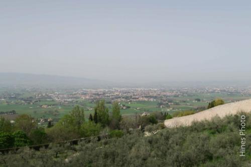 IMG 7898