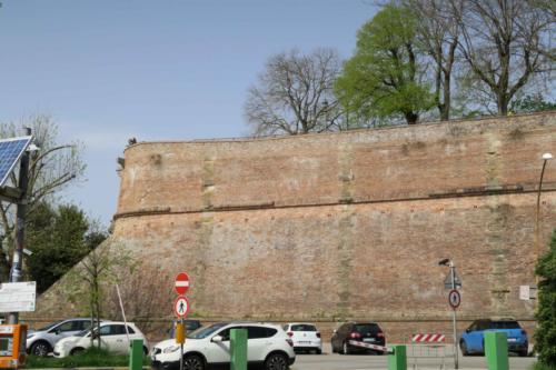 IMG 7959