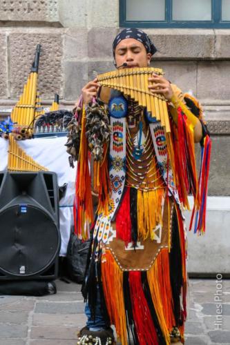 20-IMG 4482