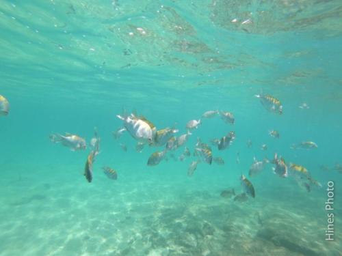 DCIM100GOPROGOPR5088.JPG