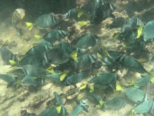 DCIM100GOPROGOPR5116.JPG